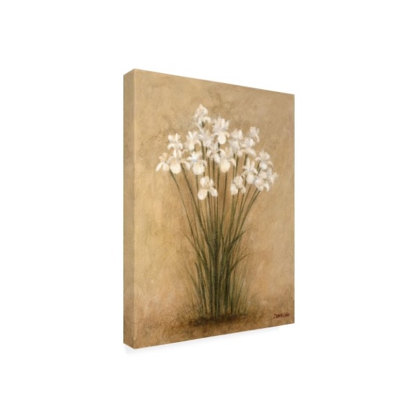 Debra Lake 'Clump Of Irises' Canvas Art,18x24